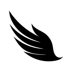 dove on white background