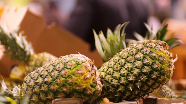 Fresh, ripe pineapples in boxes at a supermarket. Shoppers select the fruit against a blurred background.
