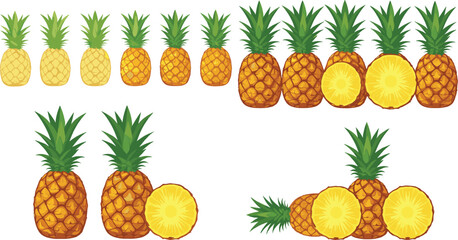 Cartoon Pineapple Fruit Variety Set with Whole Pineapples and Sliced Rings Tropical Colorful Flat Vector Illustration