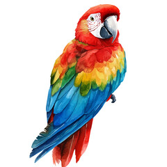 Parrot, elegant watercolor vector illustration, isolated on a white background. © deltrion