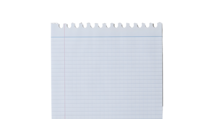 Torn sheet of lined paper with handwritten notes