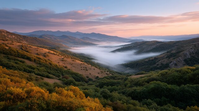 The foggy mountainside and serene landscape