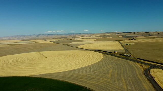 US, OR, Athena, 2025-08-20 - Drone view of dry brown farms fields with center pivot irrigation. In Summer.