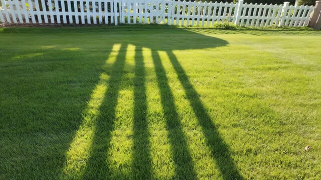 Sunny Garden Lawn with Soft Moving White Fence Shadows in a Clean Summer Outdoor Loop 4K
