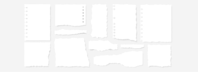 Set of 15 blank ripped paper scrap elements with torn edges, spiral notebook holes, and soft shadows. Ideal for collages, moodboards, digital scrapbooking, and creative layouts.