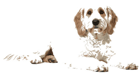 PrintHighly Detailed Vector Illustration of a White and Brown Spaniel Dog Lying Down, Ideal for Veterinary Clinics, Pet Services, and Animal Portrait Graphics