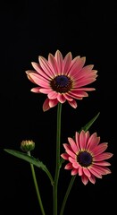 Vibrant flowers unfurl their petals in a burst of brilliant color, symbolizing growth, renewal, and abundant natural beauty. A scene of flourishing life ,bright ,vivid ,hope