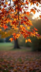 Vibrant autumn leaves on a branch bathed in sunlight. This image captures the season's beauty