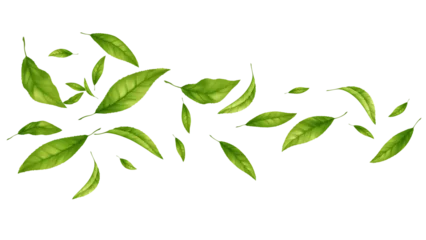 Fototapeten Pony 57  © vik_y