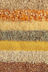 Cereals - ,wheat, barley, millet, rye, rice,maize and oats