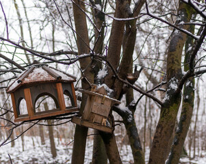 Two rustic wooden bird feeders hang on snow-covered branches while a curious squirrel climbs nearby. Soft winter light highlights the wood, snow, and playful wildlife, creating a charming seasonal sce