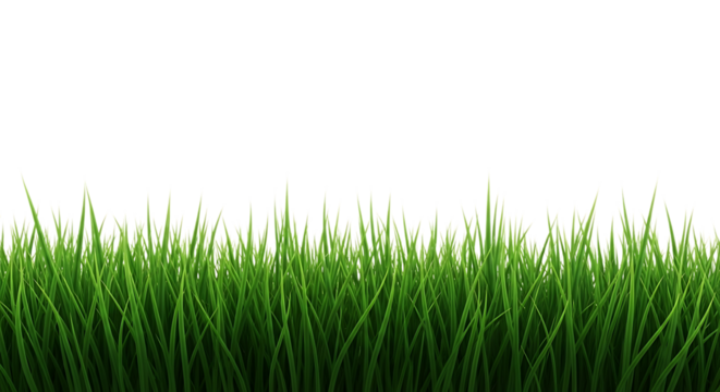 Close up of green grass blades isolated on transparent background - Powered by Adobe