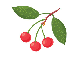 Cherries. Flat vector clipart illustration with isolated background.