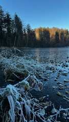frozen lake in winter