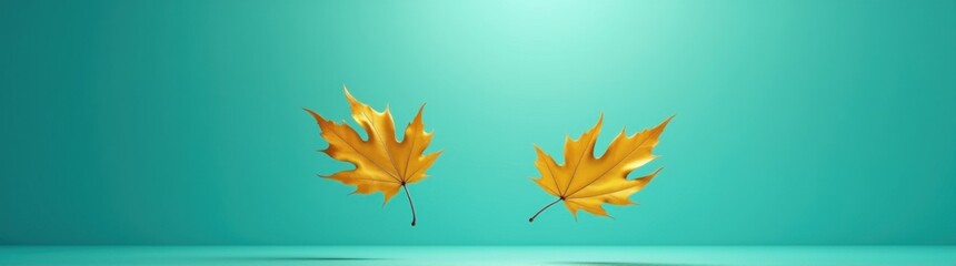 Obraz premium Two yellow leaves are flying in the air on a blue background banner plant background copy space