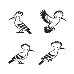 Elegant Black Silhouette Collection of Hoopoe Birds in Various Poses.