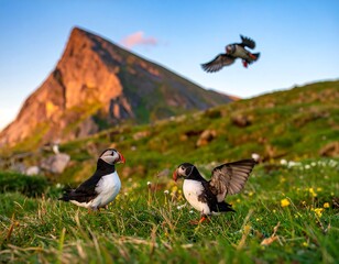 Three colorful puffins in the grass with a mountain background