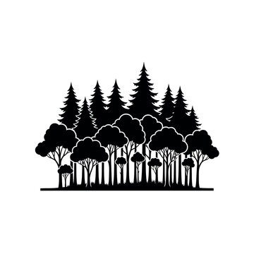 Silhouette of a dense forest with various tree types.
