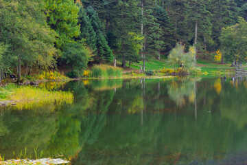 beautiful scene of lake in the forest in the park	