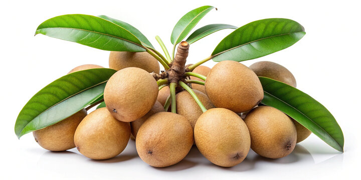 Delicious sapodilla fruits and green leaves isolated on white