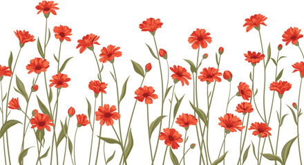 Obraz premium Beautiful botanical illustration of a field of tall orange and red calendula or marigold flowers with green stems on a white background.