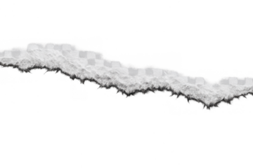 Torn paper strip with jagged edges and a fibrous texture, adding a versatile design element against a see-through backdrop