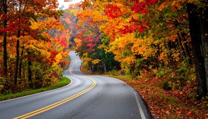 Winding road through colorful autumn forest