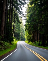 Obraz premium Winding road through lush forest