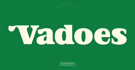 Vadoes Sports minimal tech font letter set. Luxury vector typeface for company.