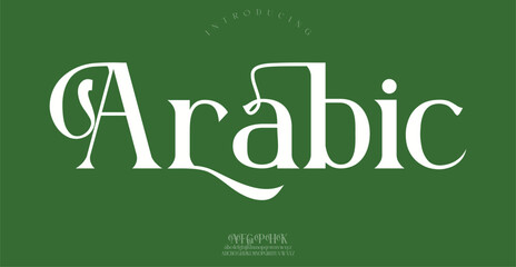 Arabic Sports minimal tech font letter set. Luxury vector typeface for company.