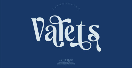 Valets Sports minimal tech font letter set. Luxury vector typeface for company.