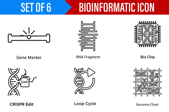Illustration of bioinformatics icons featuring gene marker rna fragment biochip crispr loop and genome chart