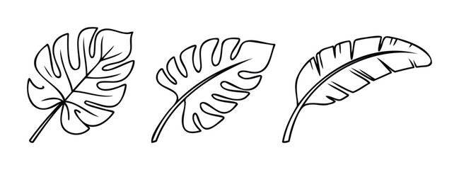 Three distinct tropical leaf outlines presented as simple line drawings, perfect for summer themes, invitations, and nature inspired projects