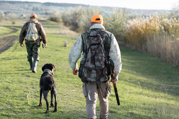A hunters in camouflage clothing with a gun in his hands walks along the reeds.