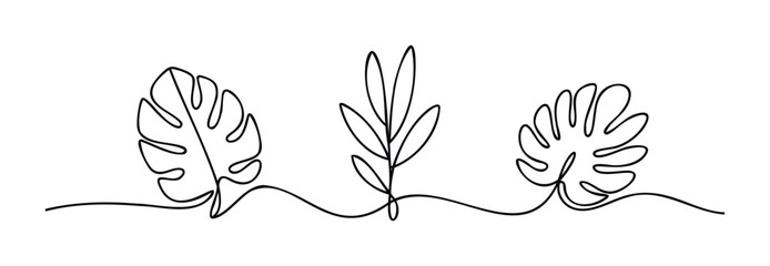 Minimalist single line drawings of tropical monstera leaves and a sprig of leaves for organic nature themes and elegant botanical presentations