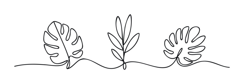 Minimalist single line drawings of tropical monstera leaves and a sprig of leaves for organic nature themes and elegant botanical presentations
