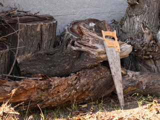 Old hand saw leaning against a pile of rough, stacked firewood and tree stumps outdoors.