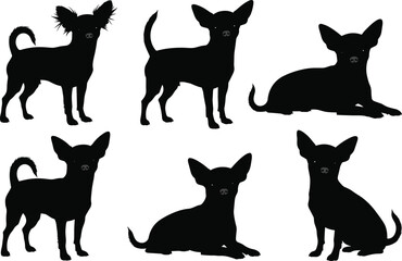 Six Black Silhouettes of Chihuahua Dogs in Various Poses on White Background vector illustration