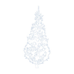 Outline drawing of a tall evergreen christmas tree