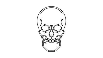 Simple black and white human skull line drawing isolated on a white background.