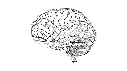Detailed illustration of the human brain with neural pathways highlighted.