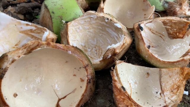Several young coconut shells that have been split open, showing the soft texture of the coconut flesh and its natural brown-white color.