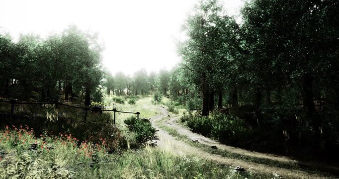 A serene pathway winds through a vibrant forest filled with trees and plants. The soft light filters through the foliage, creating a tranquil atmosphere perfect for a nature walk.