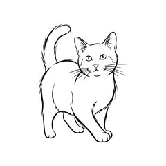 Unique Cat Vector Art
