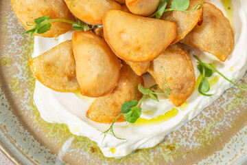 Crispy fried dumplings served on creamy sour cream with microgreens and olive oil on a rustic plate