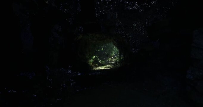 Sunlight beams enter a cave, illuminating its rocky interior and surrounding greenery. The tranquility of the forest is apparent as nature thrives outside the cave.