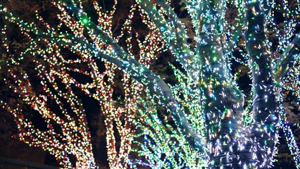 クリスマスイルミネーション