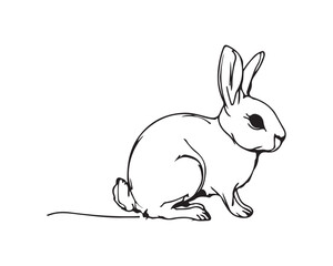 Wild & Domestic Animal Silhouette Icons – Solid Black Vector