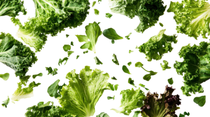 Mixed Leafy Greens Flying isolated on a transparent background