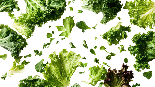 Mixed Leafy Greens Flying isolated on a transparent background
